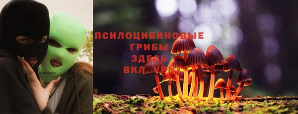 Альфа ПВП Аркадак
