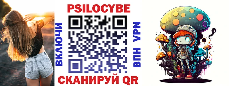 где продают   Петропавловск-Камчатский  Псилоцибиновые грибы GOLDEN TEACHER 